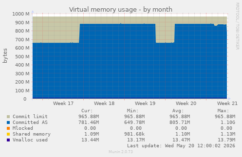 Virtual memory usage